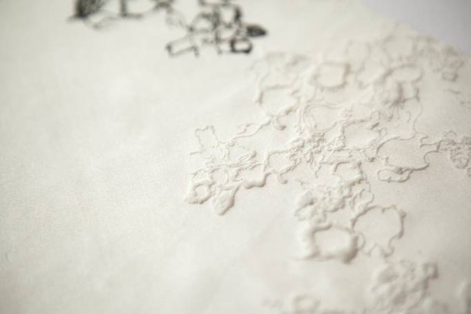 aurélia leblanc printed lace lingerie dentelle